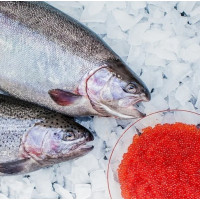 Форель МУРМАНСКАЯ, охлажденная, икорная, непотрошённая (вес рыбы 2,5-4кг) (кратно 1 тушке), 1530руб/кг. Привоз 5 марта